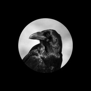 很污的视频网站
