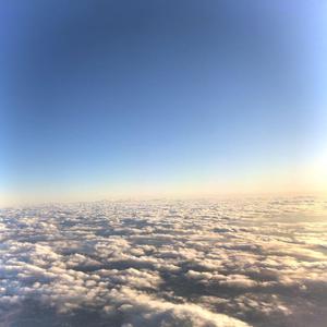 很污的视频网站
