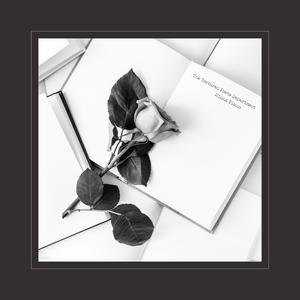 很污的视频网站
